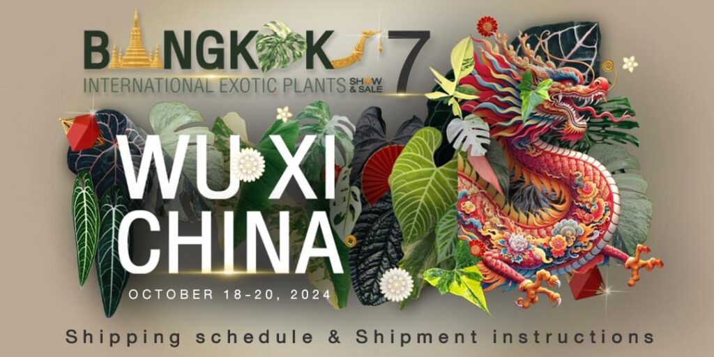 Wuxi plant show & sale