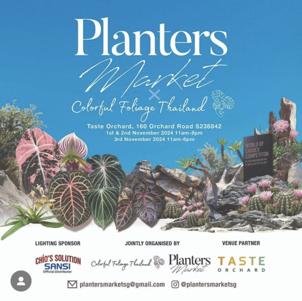 Planters Market Singapore