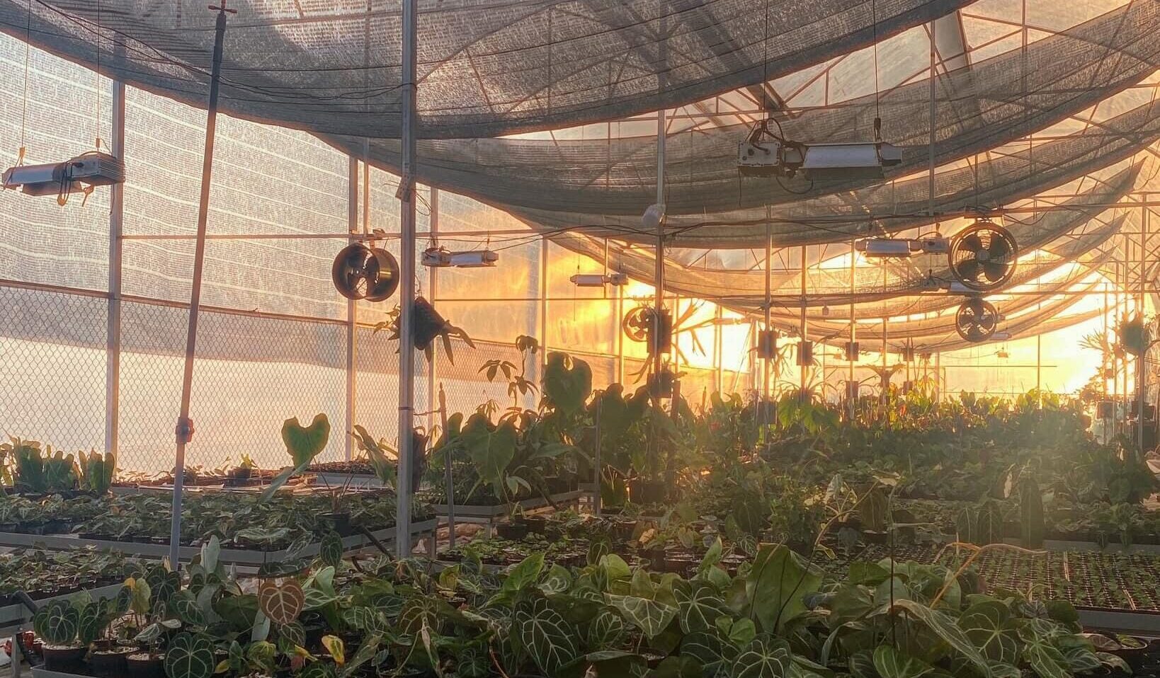 Le Toro Jardin Partner