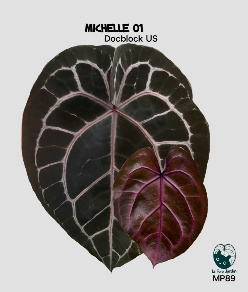 Michelle