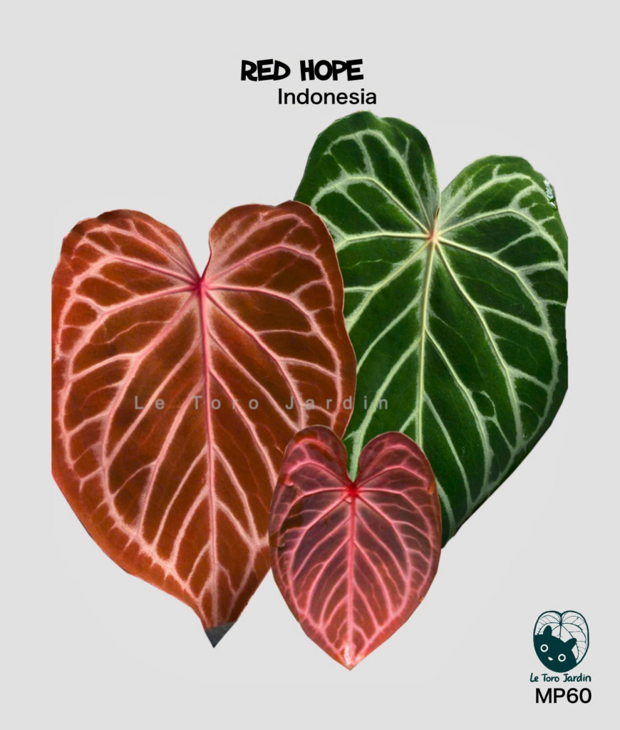 Red hope